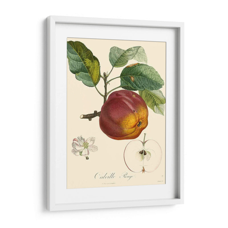 Bessa Manzanas - Bessa | Cuadro decorativo de Canvas Lab