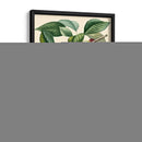 Cerezas Bessa - Bessa | Cuadro decorativo de Canvas Lab