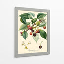 Cerezas Bessa - Bessa | Cuadro decorativo de Canvas Lab