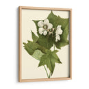 Follaje Delicado I | Cuadro decorativo de Canvas Lab