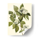 Follaje Delicado Ii | Cuadro decorativo de Canvas Lab