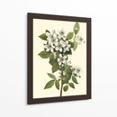 Follaje Delicado Iii | Cuadro decorativo de Canvas Lab