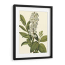 Follaje Delicado Iv | Cuadro decorativo de Canvas Lab