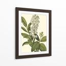 Follaje Delicado Iv | Cuadro decorativo de Canvas Lab