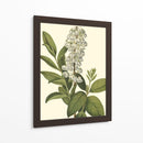 Follaje Delicado Iv | Cuadro decorativo de Canvas Lab