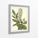 Follaje Delicado Iv | Cuadro decorativo de Canvas Lab