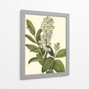 Follaje Delicado Iv | Cuadro decorativo de Canvas Lab