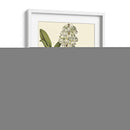 Follaje Delicado Iv | Cuadro decorativo de Canvas Lab