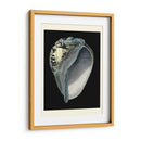 Tesoros Del Mar Vi. - Pierre Redoute | Cuadro decorativo de Canvas Lab