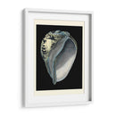 Tesoros Del Mar Vi. - Pierre Redoute | Cuadro decorativo de Canvas Lab