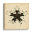 Gemas Del Mar Iii - Vision Studio | Cuadro decorativo de Canvas Lab