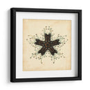 Gemas Del Mar Iii - Vision Studio | Cuadro decorativo de Canvas Lab