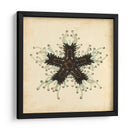 Gemas Del Mar Iii - Vision Studio | Cuadro decorativo de Canvas Lab