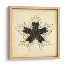 Gemas Del Mar Iii - Vision Studio | Cuadro decorativo de Canvas Lab