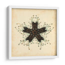 Gemas Del Mar Iii - Vision Studio | Cuadro decorativo de Canvas Lab