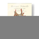 Coquilles De Mer Iii - Vision Studio | Cuadro decorativo de Canvas Lab