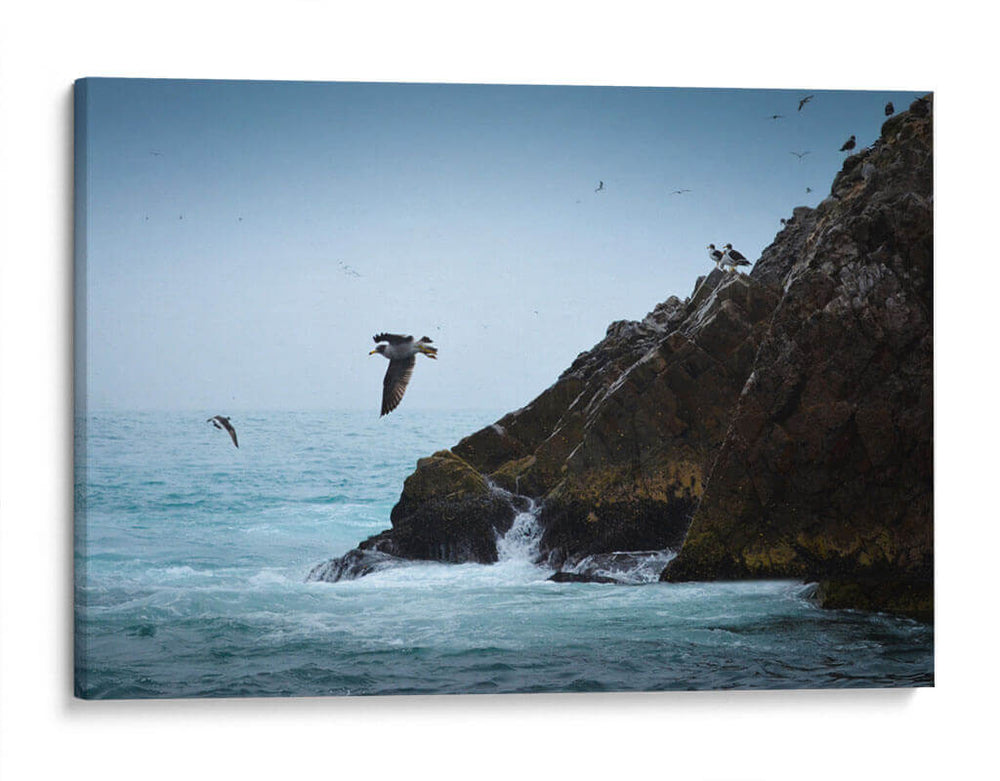 Islas Ballestas 1 - Ariadne Contreras | Cuadro decorativo de Canvas Lab