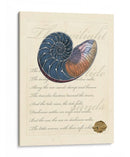 Romance De La Cáscara I - Vision Studio | Cuadro decorativo de Canvas Lab