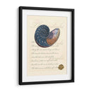 Romance De La Cáscara I - Vision Studio | Cuadro decorativo de Canvas Lab