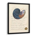 Romance De La Cáscara I - Vision Studio | Cuadro decorativo de Canvas Lab