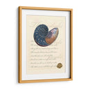 Romance De La Cáscara I - Vision Studio | Cuadro decorativo de Canvas Lab