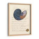 Romance De La Cáscara I - Vision Studio | Cuadro decorativo de Canvas Lab