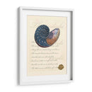 Romance De La Cáscara I - Vision Studio | Cuadro decorativo de Canvas Lab