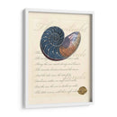 Romance De La Cáscara I - Vision Studio | Cuadro decorativo de Canvas Lab