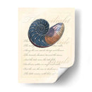 Romance De La Cáscara I - Vision Studio | Cuadro decorativo de Canvas Lab