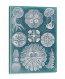 Sellife Blueprint Iv - Vision Studio | Cuadro decorativo de Canvas Lab