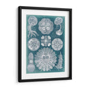 Sellife Blueprint Iv - Vision Studio | Cuadro decorativo de Canvas Lab