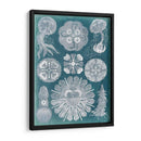 Sellife Blueprint Iv - Vision Studio | Cuadro decorativo de Canvas Lab