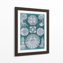 Sellife Blueprint Iv - Vision Studio | Cuadro decorativo de Canvas Lab