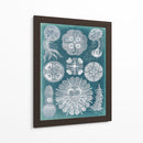 Sellife Blueprint Iv - Vision Studio | Cuadro decorativo de Canvas Lab