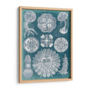 Sellife Blueprint Iv - Vision Studio | Cuadro decorativo de Canvas Lab