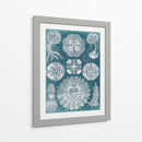 Sellife Blueprint Iv - Vision Studio | Cuadro decorativo de Canvas Lab