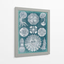 Sellife Blueprint Iv - Vision Studio | Cuadro decorativo de Canvas Lab
