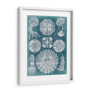 Sellife Blueprint Iv - Vision Studio | Cuadro decorativo de Canvas Lab