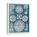 Sellife Blueprint Iv - Vision Studio | Cuadro decorativo de Canvas Lab