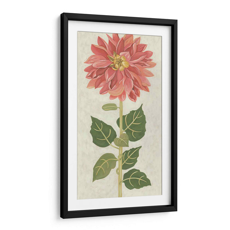 Dahlia No Adornada - Chariklia Zarris | Cuadro decorativo de Canvas Lab