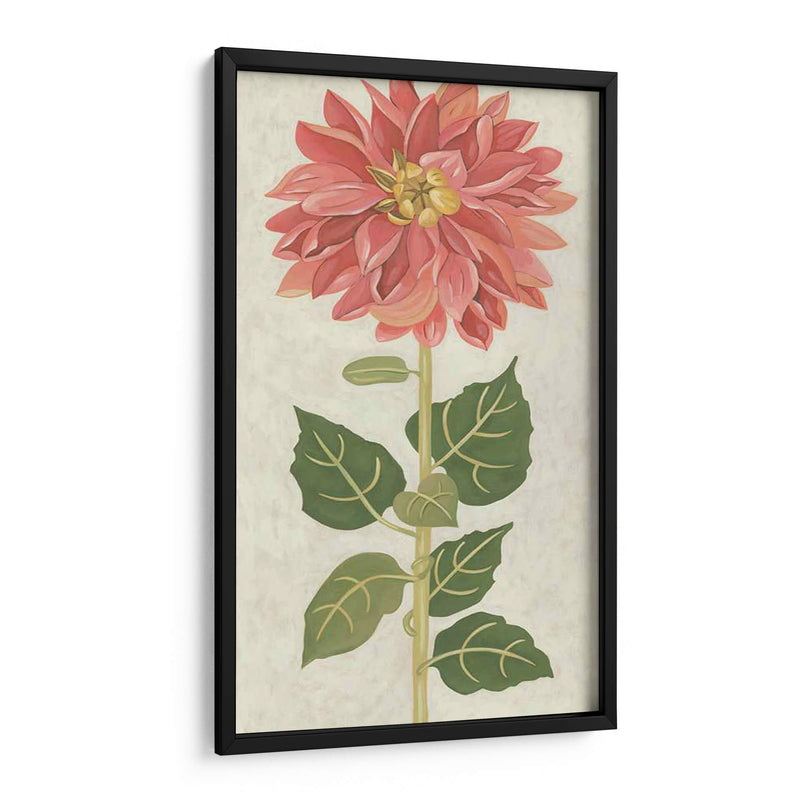 Dahlia No Adornada - Chariklia Zarris | Cuadro decorativo de Canvas Lab