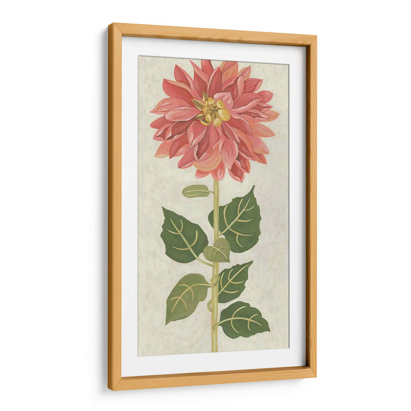 Dahlia No Adornada - Chariklia Zarris | Cuadro decorativo de Canvas Lab