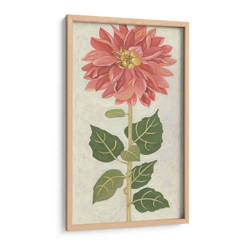 Dahlia No Adornada - Chariklia Zarris | Cuadro decorativo de Canvas Lab