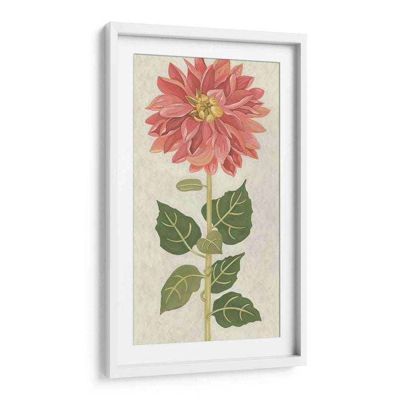 Dahlia No Adornada - Chariklia Zarris | Cuadro decorativo de Canvas Lab