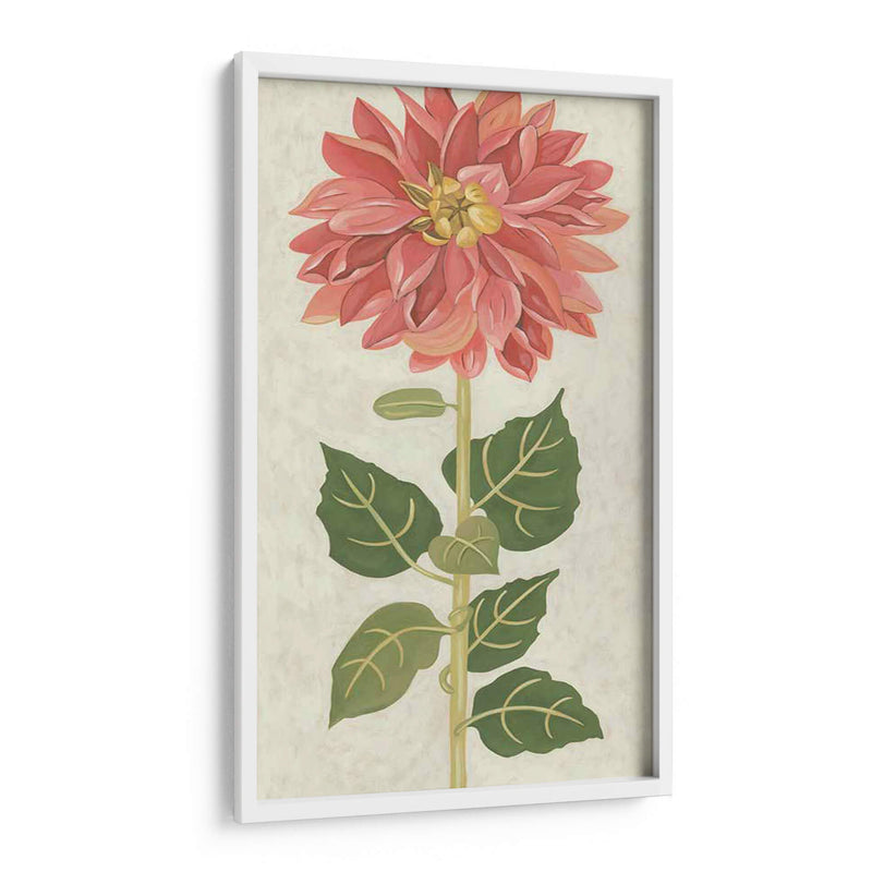 Dahlia No Adornada - Chariklia Zarris | Cuadro decorativo de Canvas Lab