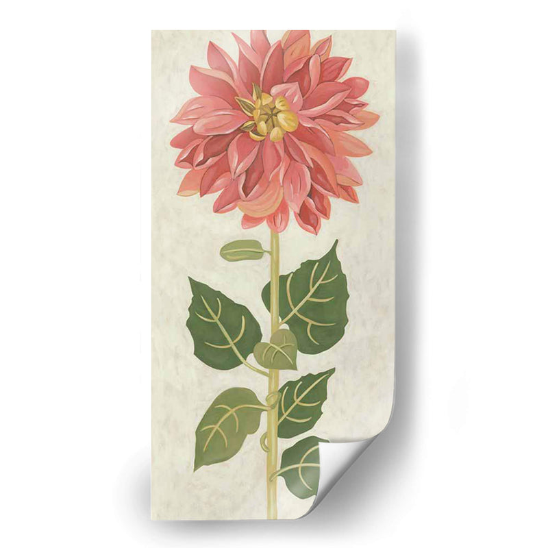 Dahlia No Adornada - Chariklia Zarris | Cuadro decorativo de Canvas Lab