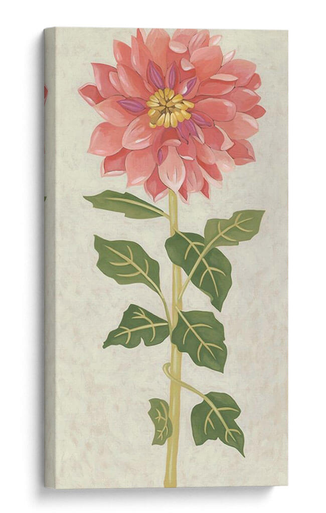 Dahlia Ii No Adornada - Chariklia Zarris | Cuadro decorativo de Canvas Lab