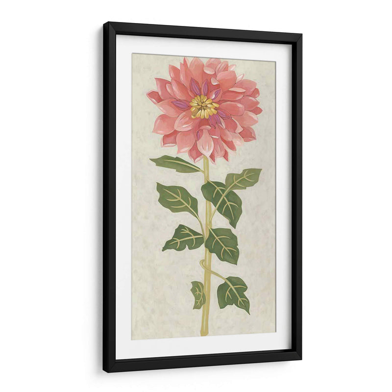 Dahlia Ii No Adornada - Chariklia Zarris | Cuadro decorativo de Canvas Lab