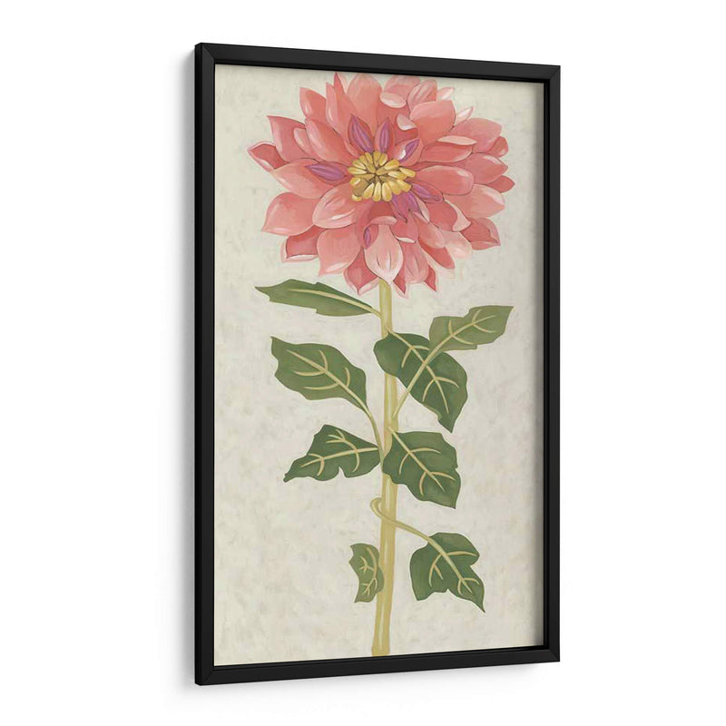 Dahlia Ii No Adornada - Chariklia Zarris | Cuadro decorativo de Canvas Lab