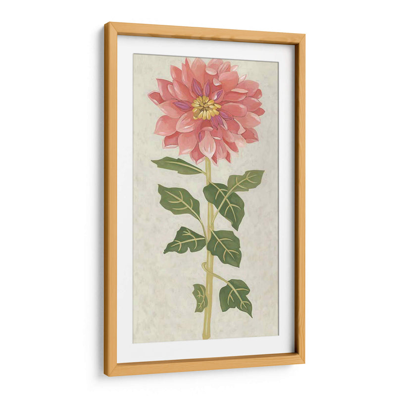 Dahlia Ii No Adornada - Chariklia Zarris | Cuadro decorativo de Canvas Lab